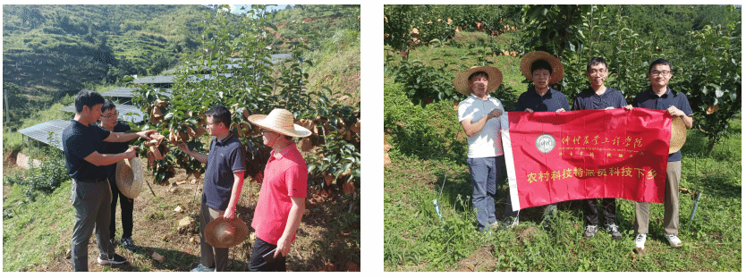 学校科技特派员团队开展驻镇帮扶赋能洪冠雪梨产业
